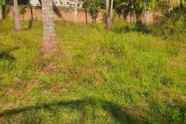 Land For Sale in Kurunagala, Mahakeliya, Randeniya