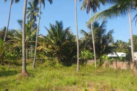 Land For Sale in Kurunagala, Mahakeliya, Randeniya