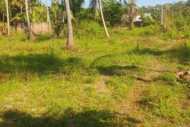 Land For Sale in Kurunagala, Mahakeliya, Randeniya
