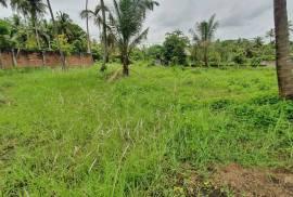 Land For Sale in Kurunagala, Mahakeliya, Randeniya