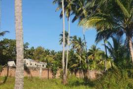 Land For Sale in Kurunagala, Mahakeliya, Randeniya