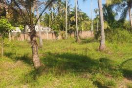 Land For Sale in Kurunagala, Mahakeliya, Randeniya